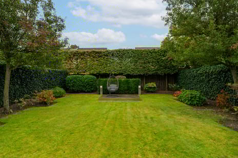 Goudplevier 14 tertiary image