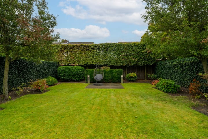 Foto 3 van Goudplevier 14