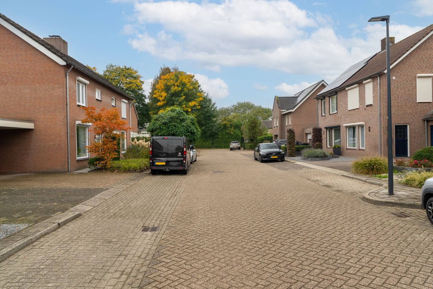 Foto 4 van Goudplevier 14