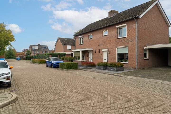 Foto 5 van Goudplevier 14