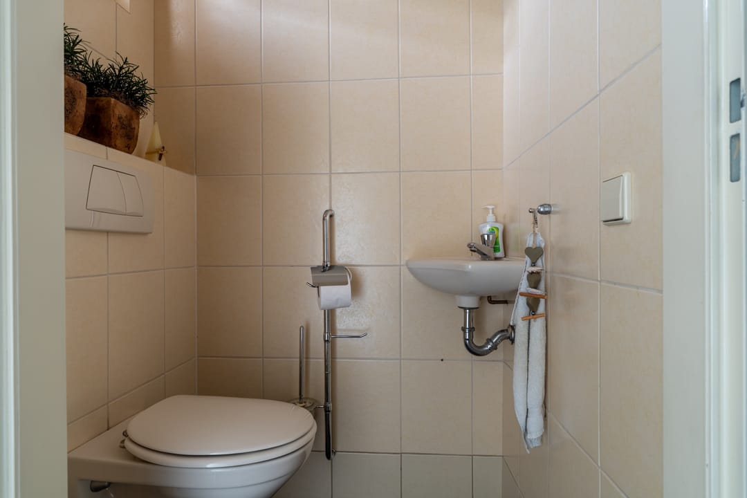 Foto 7 van Goudplevier 14