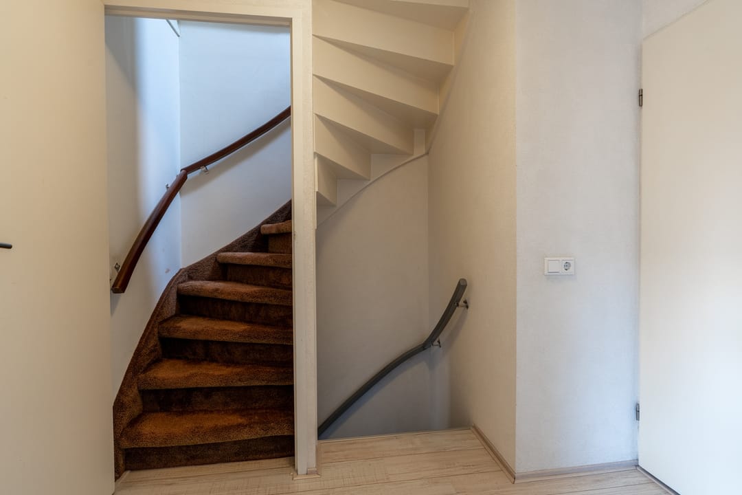 Foto 16 van Goudplevier 14