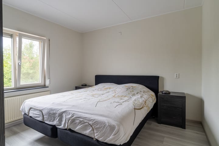 Foto 17 van Goudplevier 14