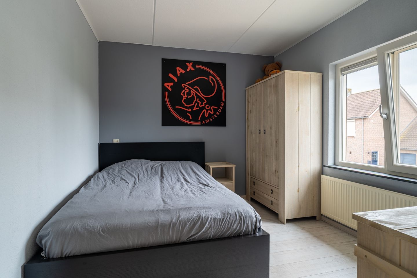 Foto 19 van Goudplevier 14