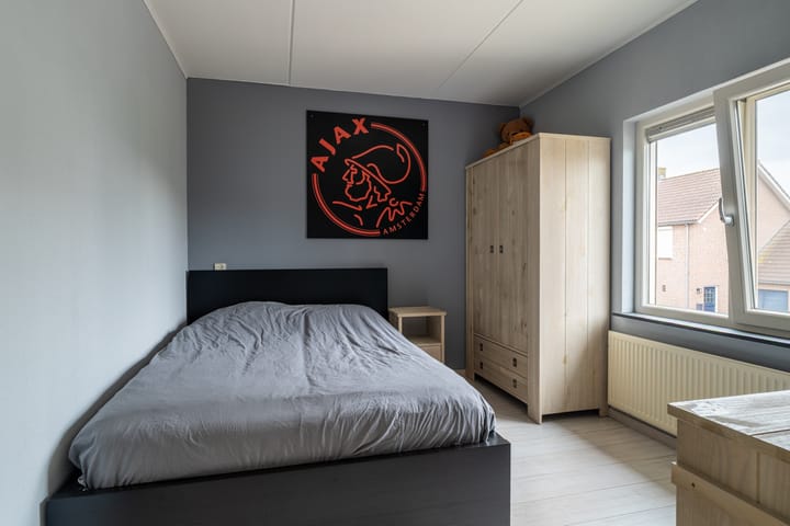 Foto 19 van Goudplevier 14