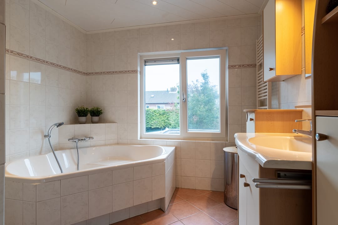 Foto 22 van Goudplevier 14