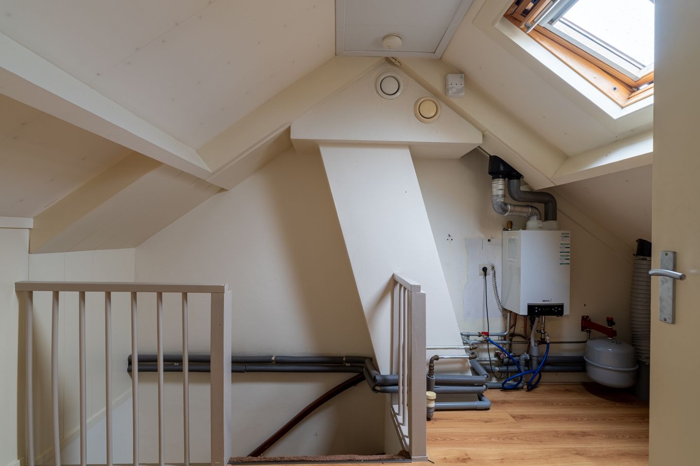 Foto 25 van Goudplevier 14