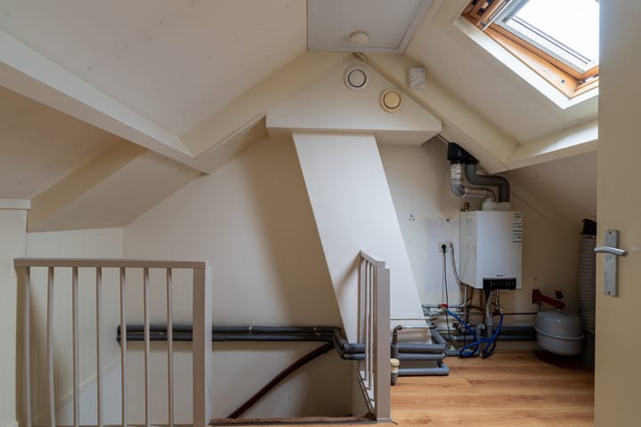 Foto 25 van Goudplevier 14