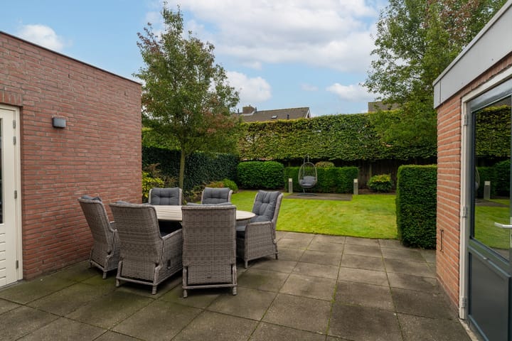 Foto 30 van Goudplevier 14