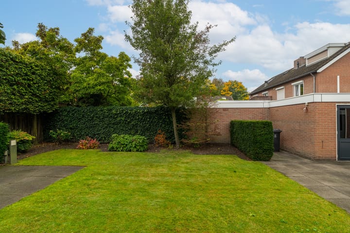 Foto 33 van Goudplevier 14