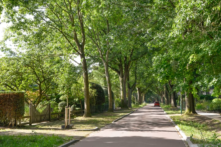 Photo 4 of Bartolottilaan 41