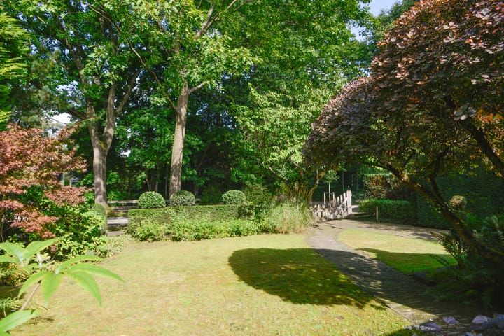 Photo 5 of Bartolottilaan 41