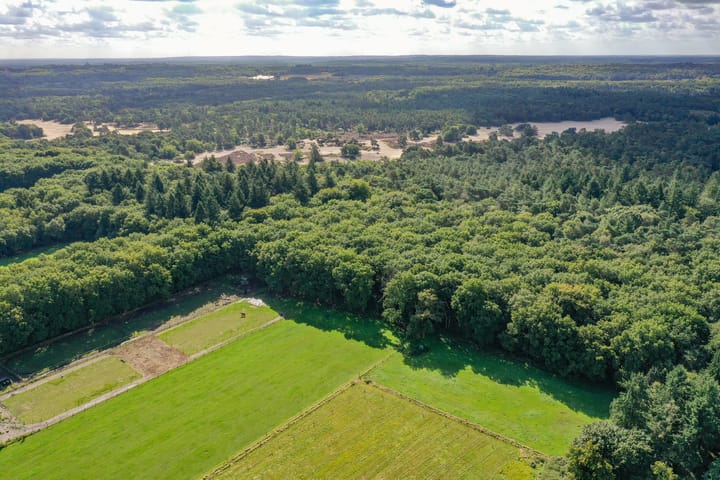 Photo 18 of Bartolottilaan 41