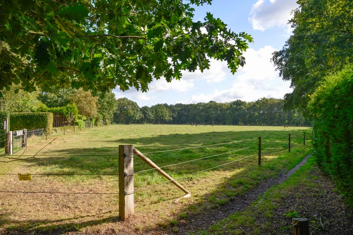 Photo 14 of Bartolottilaan 41