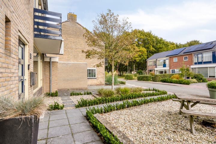 Photo 10 of Campinge 12