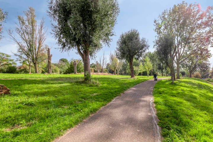 Photo 25 of Haringvlietstraat 191