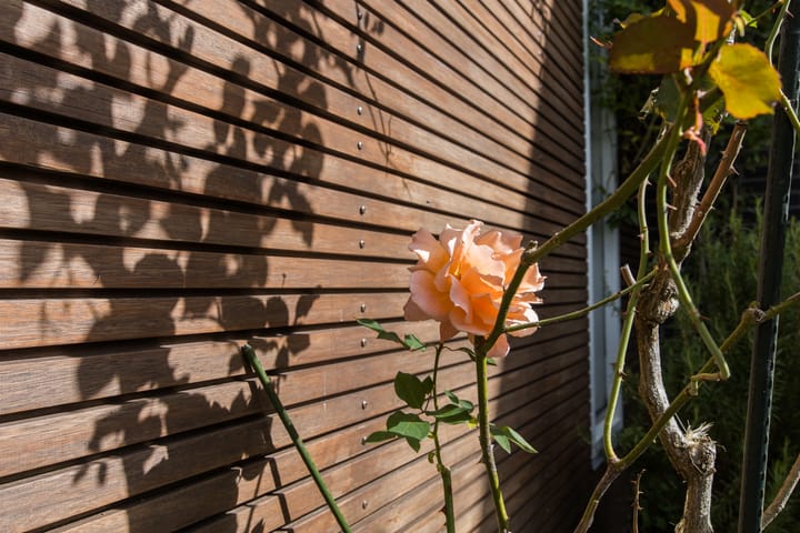 Foto 22 van Westraklaan 10