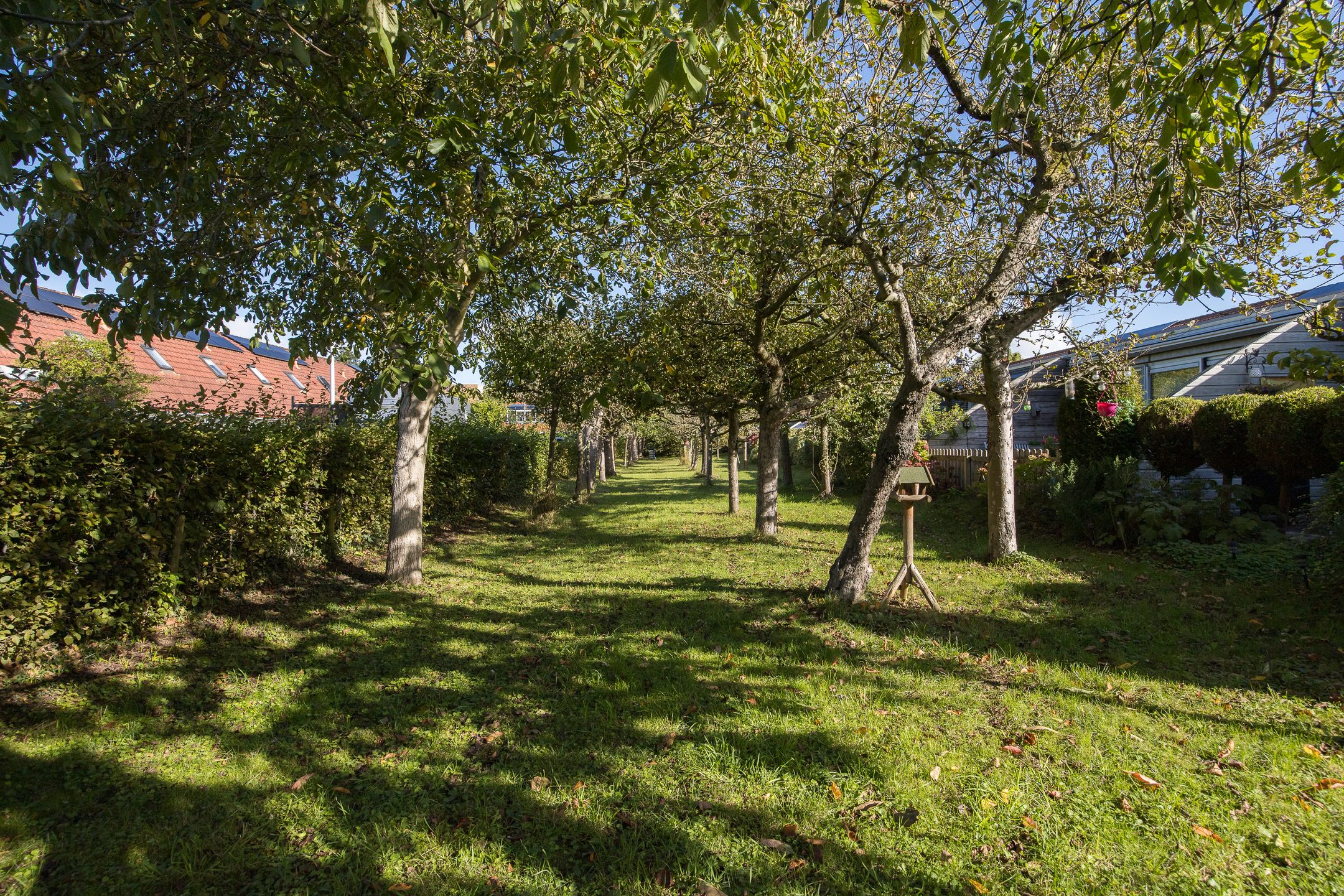 Foto 42 van Westraklaan 10