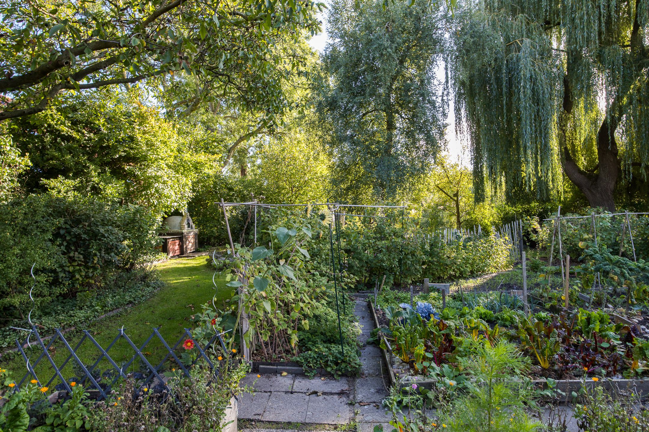 Foto 45 van Westraklaan 10