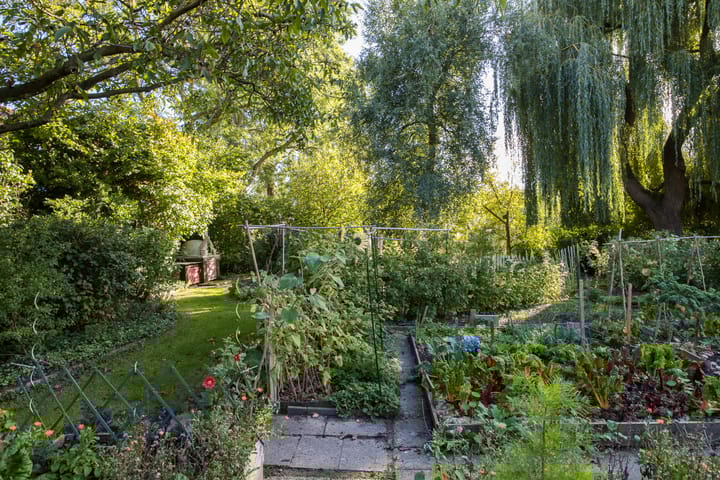 Foto 45 van Westraklaan 10