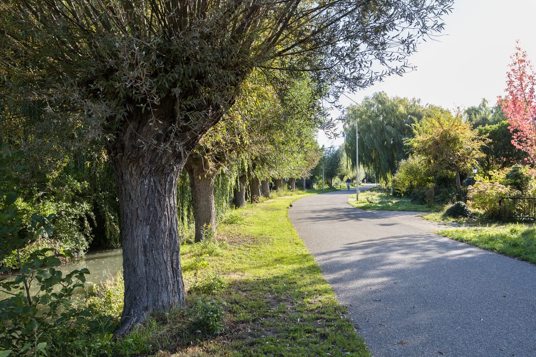 Foto 46 van Westraklaan 10