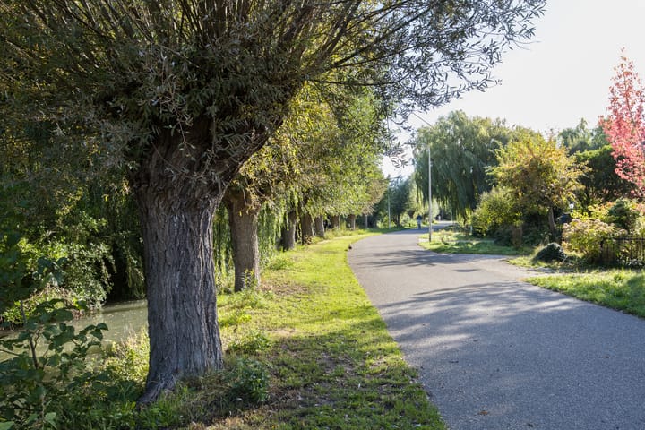 Foto 46 van Westraklaan 10