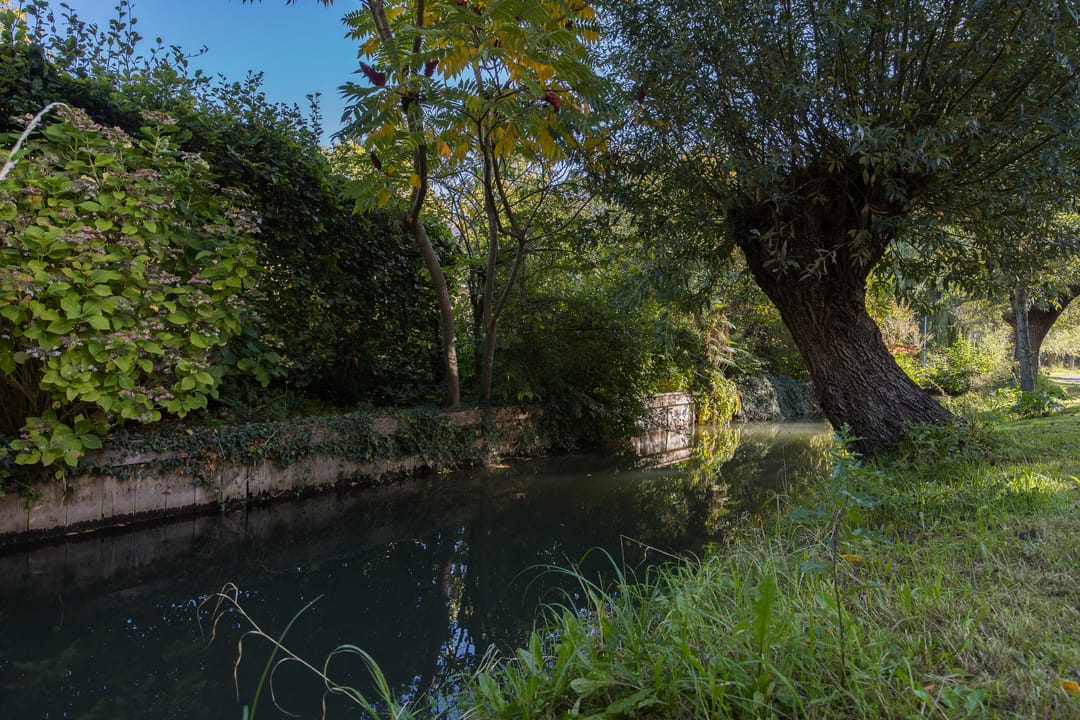 Foto 47 van Westraklaan 10