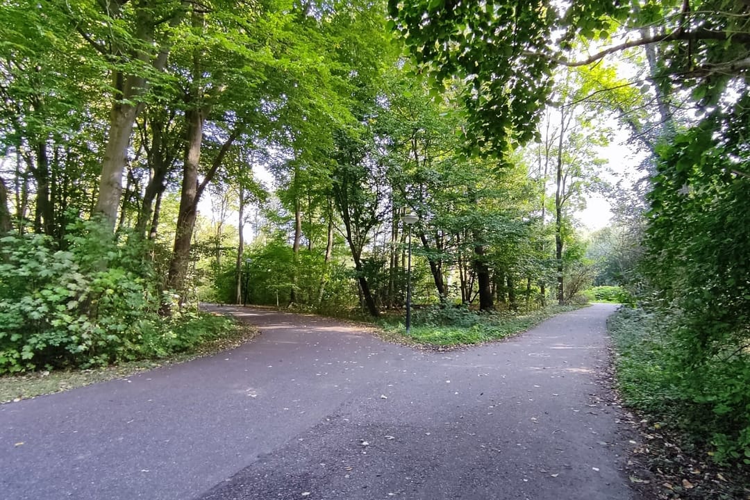 Foto 41 van Oeverpad 503