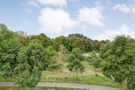 De Maaier 33 tertiary image