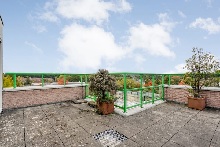 Foto 35 van De Maaier 33