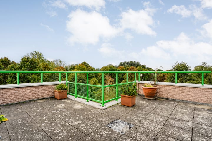 Foto 40 van De Maaier 33