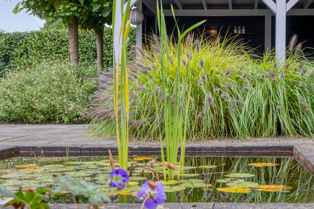 Foto 43 van Margriet 31