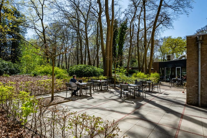 Foto 4 van Molenweg 50-509