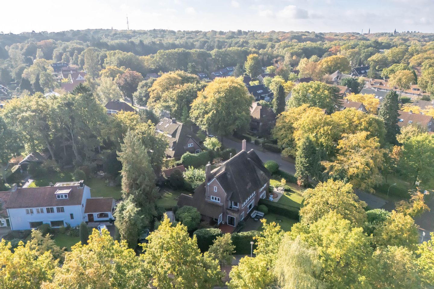 Foto 65 van Barchman Wuytierslaan 92