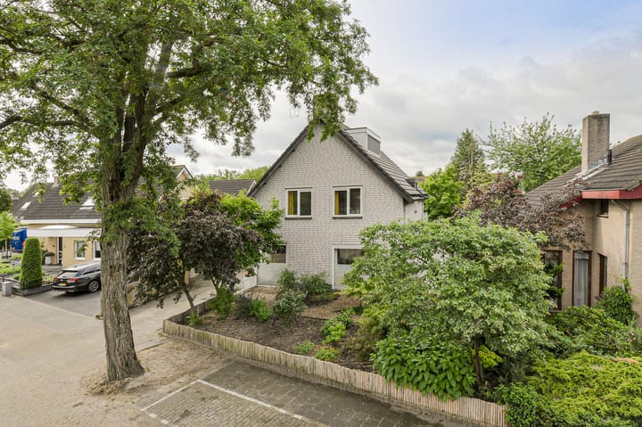 Maalsteen 24 main image