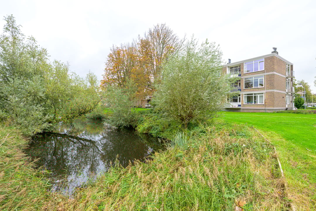 Foto 41 van Asselijnstraat 80