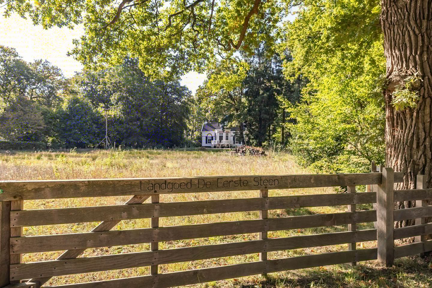 277.jpg?options=width=1440