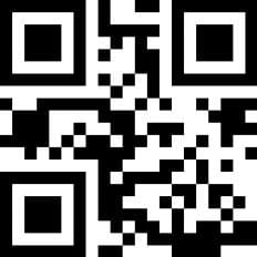 Photo 20 of Turfschip 98