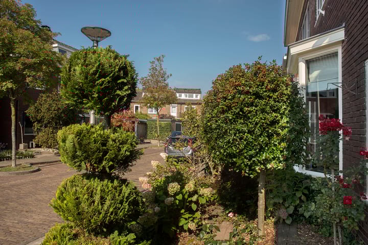 Foto 45 van Niasstraat 13