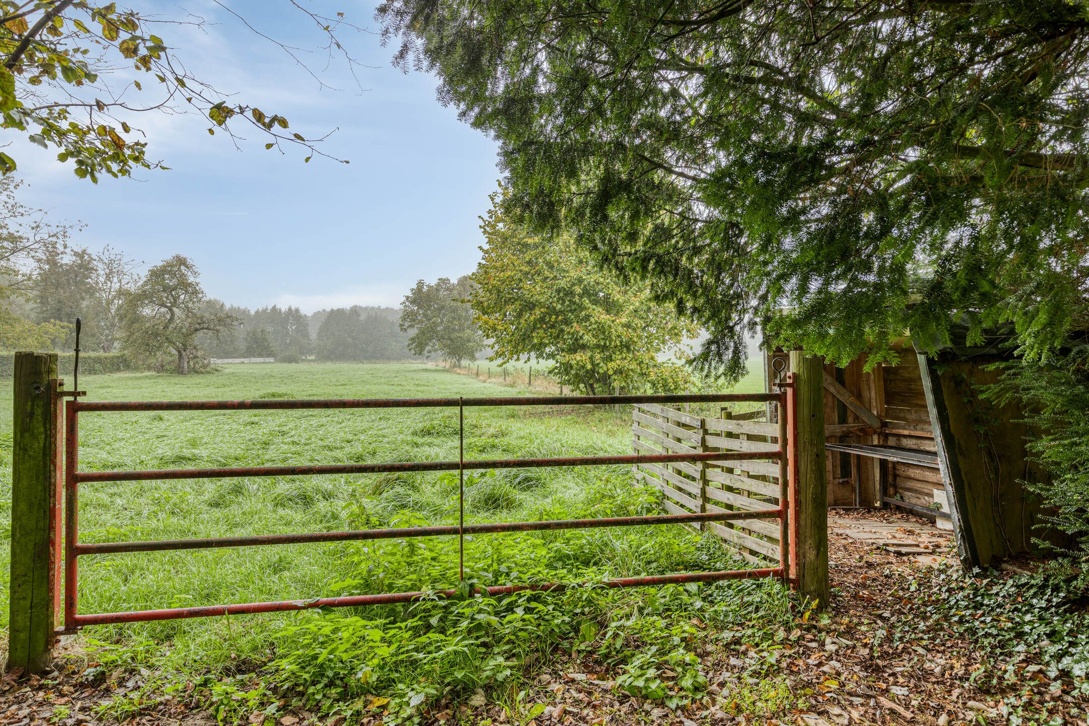 Foto 3 van Kapelweg 30