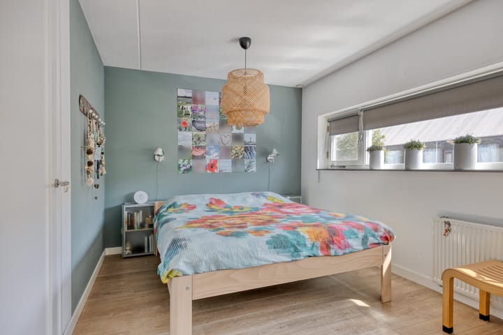 Foto 25 van Watermunt 12