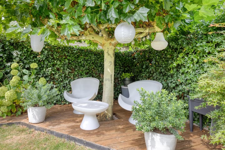 Foto 43 van Watermunt 12