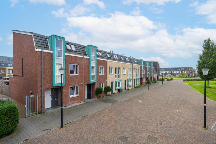 Foto 8 van Zomertaling 9