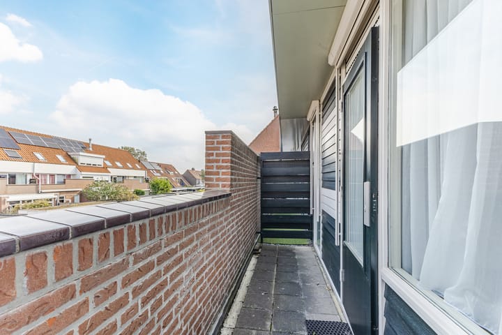 Foto 15 van Lisdodde 40