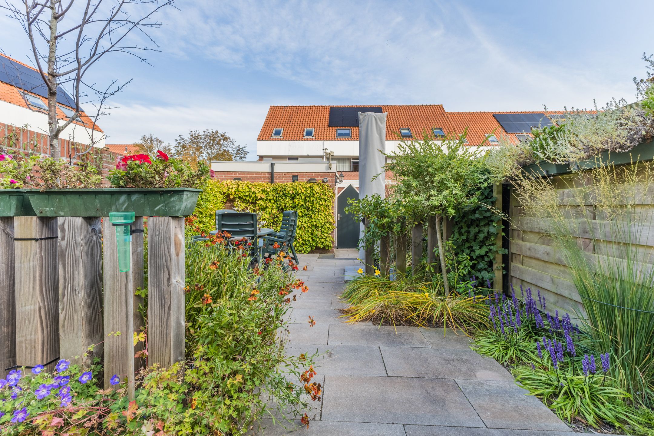 Photo 27 of Lisdodde 40