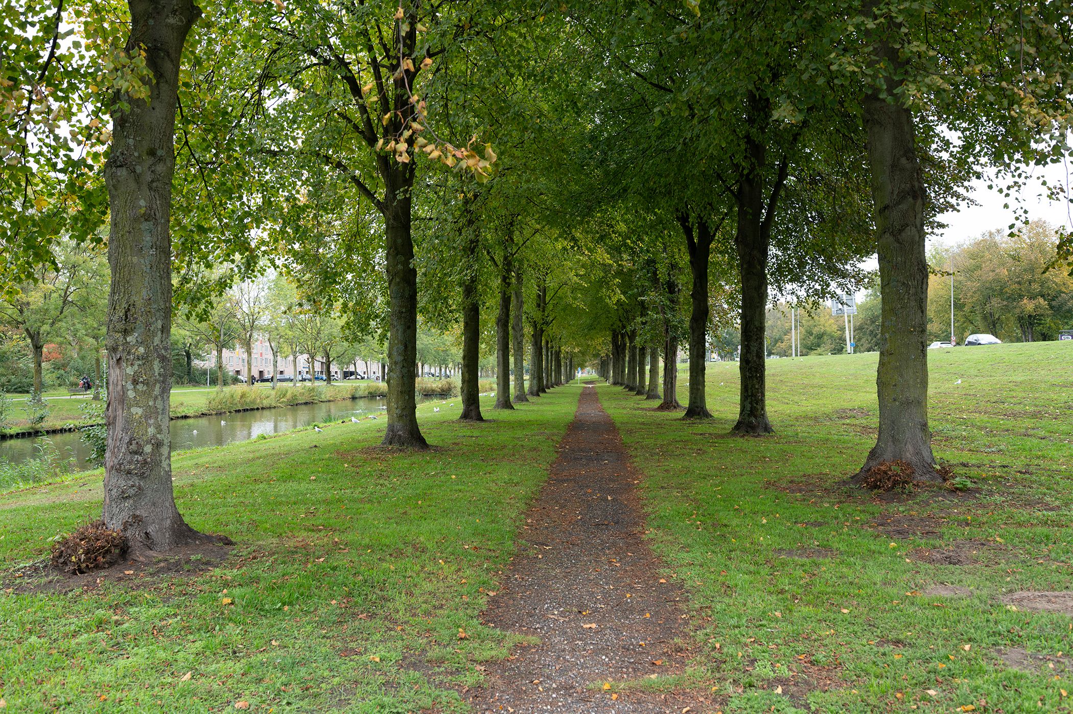 Foto 33 van Anna Blamansingel 266