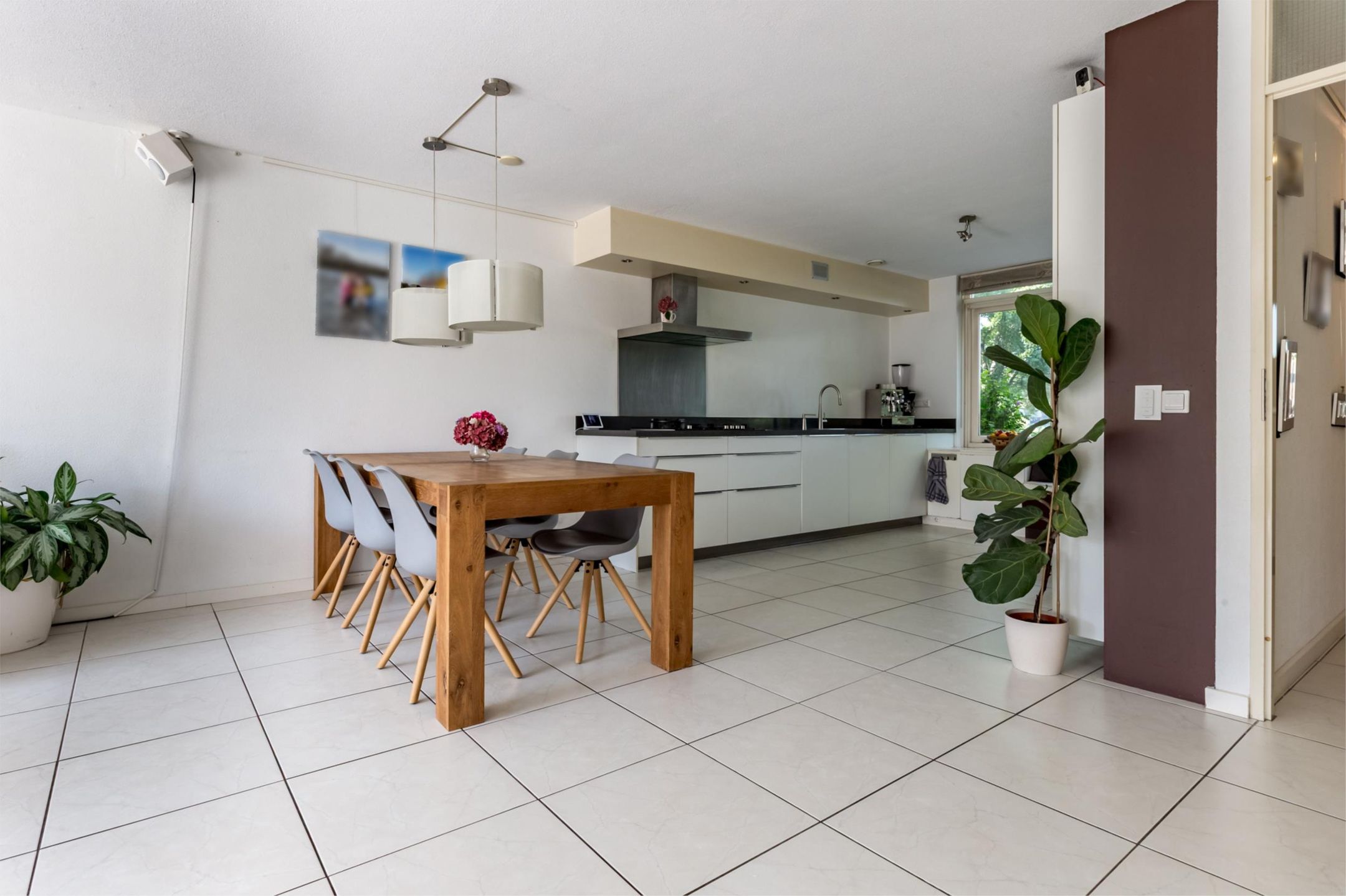 Photo 9 of Florazoom 9