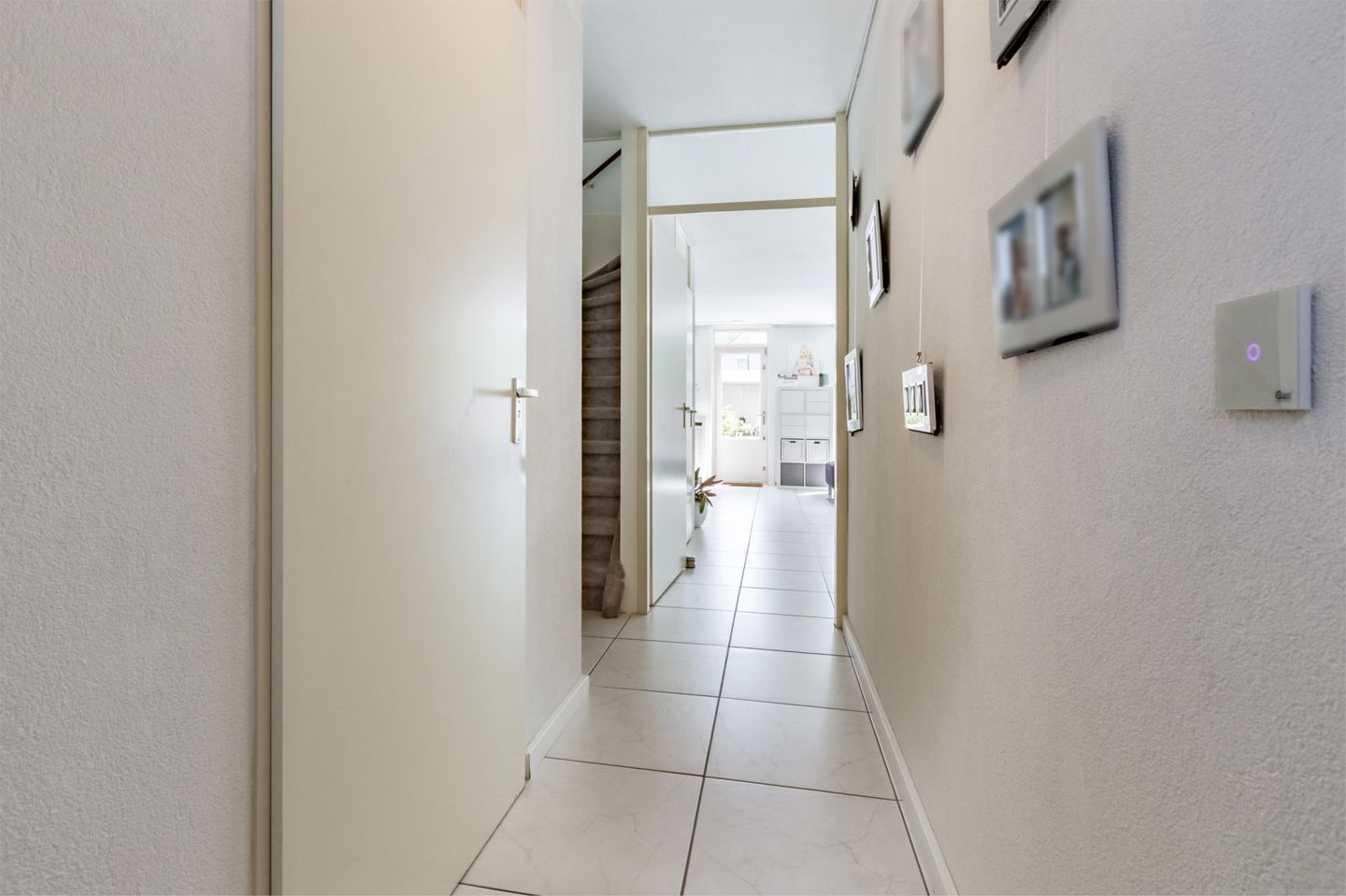 Photo 14 of Florazoom 9