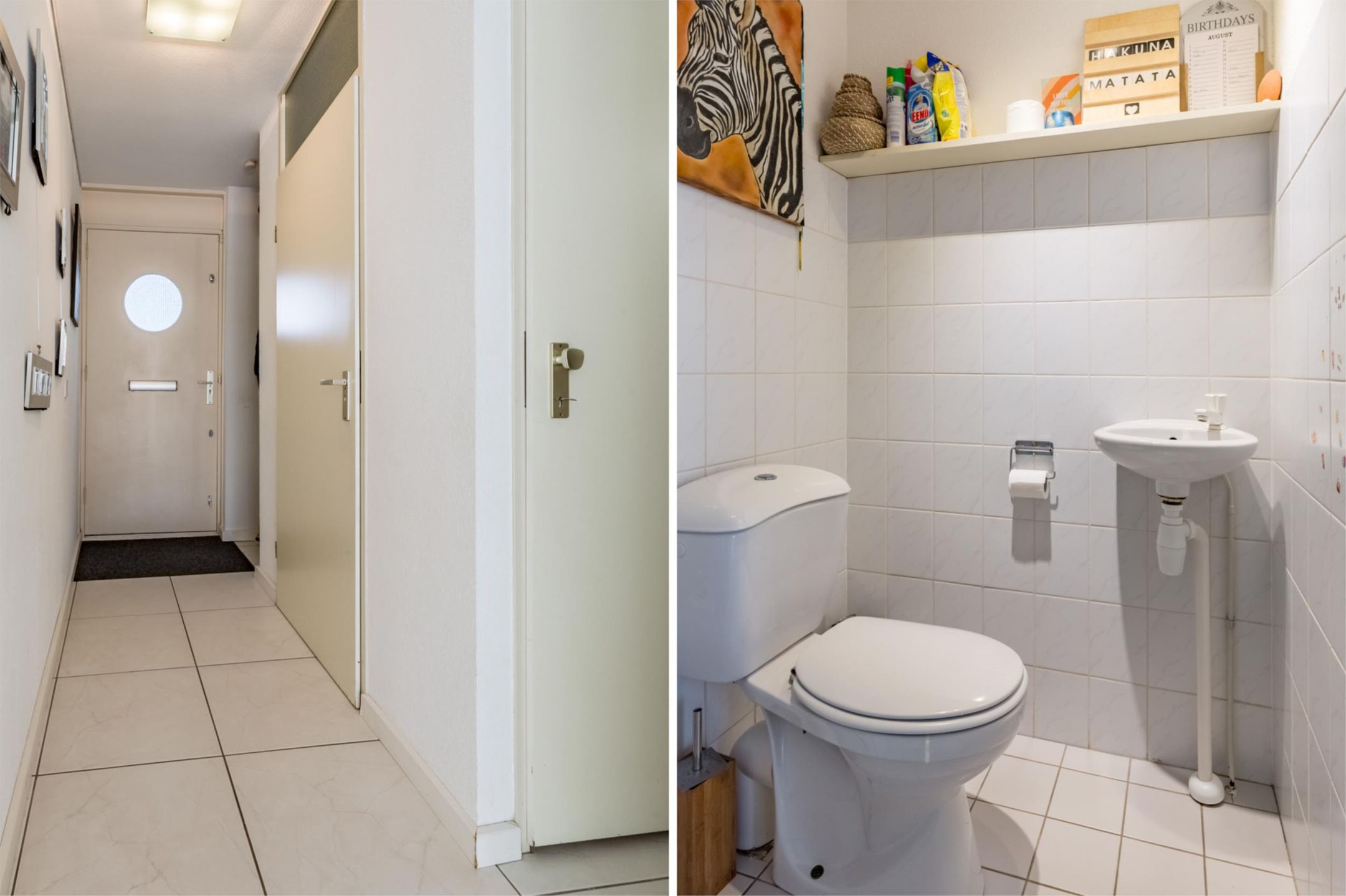 Photo 15 of Florazoom 9