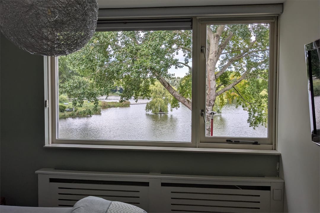 Photo 26 of Florazoom 9